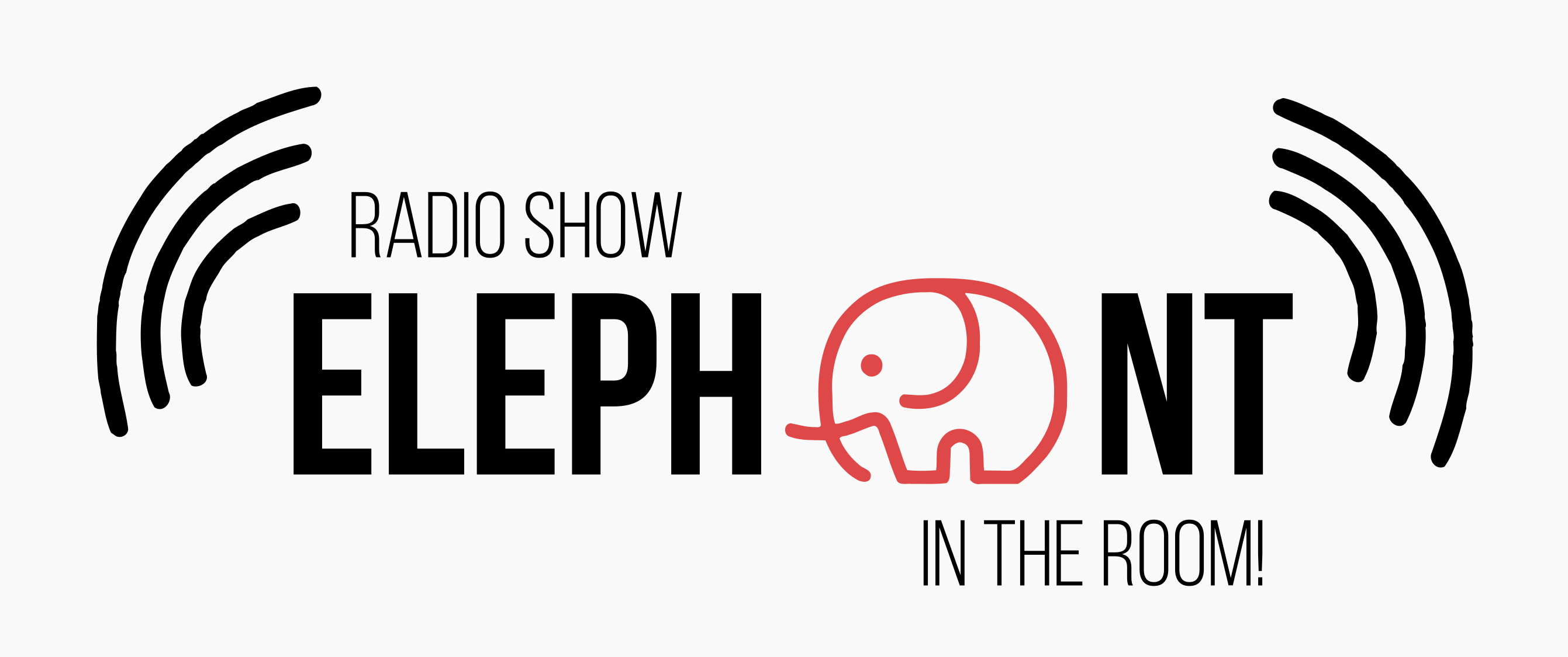 Elephant In The Room logo