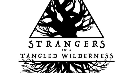 Strangers In A Tangled Wilderness logo